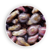 audifort coupon discount code